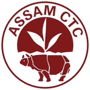 logo1-1-300x300